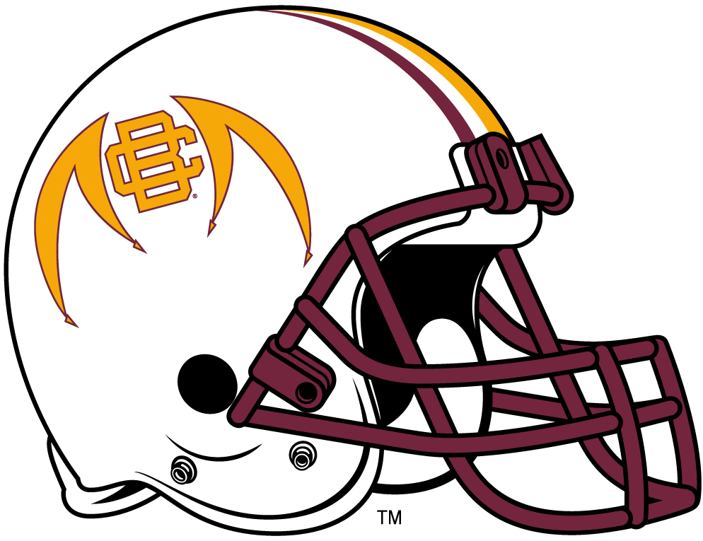 Bethune-Cookman Wildcats 2010-2015 Helmet Logo iron on transfers for clothing